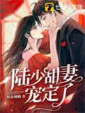 陆少甜妻宠定了小说顾念陆司遇