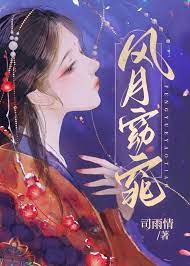 风月窈窕小说介绍