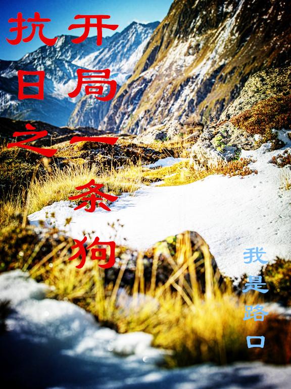 抗日之开局无限军舰小说