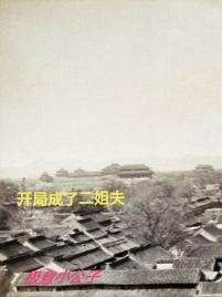 开局成了驸马小说