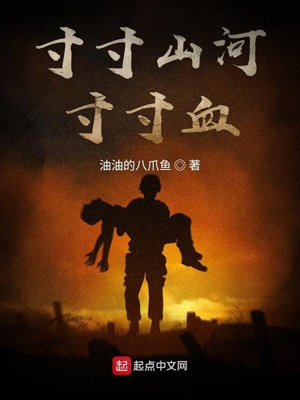 _寸山河一寸血 视频