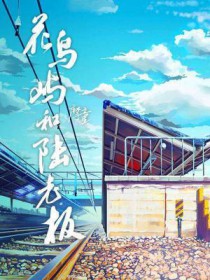 花鸟屿和陆老板