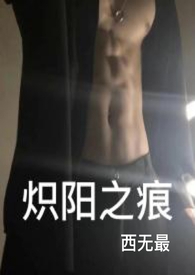 炽阳之痕小说关系讲解