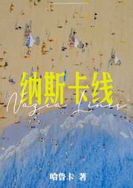 纳斯卡线是什么意思