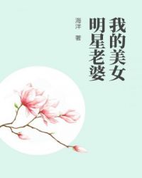 明星的老婆都是谁