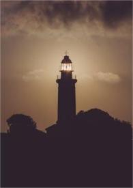 你不在的每一个日子